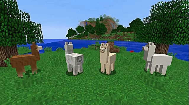 Minecraft - Cómo domar, montar y criar Llamas 1