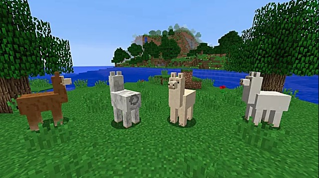 papa- llama Minecraft - Cómo domar, montar y criar Llamas 1
