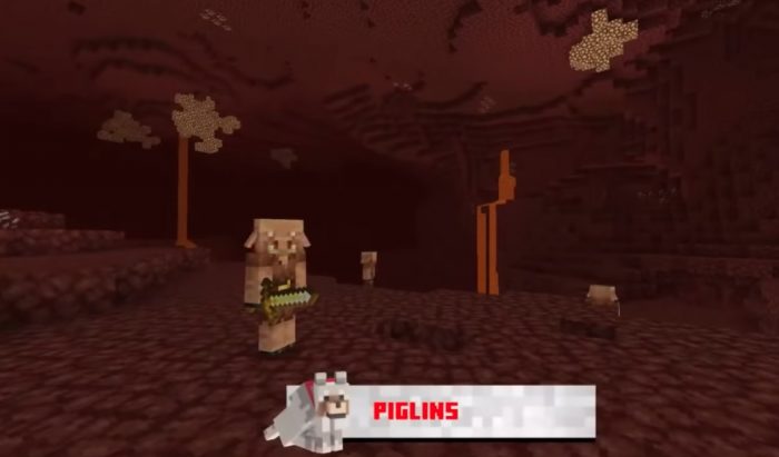 minecraft-la-actualizacion-nether-cuenta-con-netherwart-forest-soulsand-valley-y-una-nueva-raza-los-piglins-1.16)