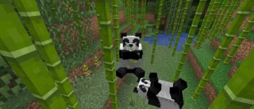 Minecraft - Cómo domesticar Pandas (y criarlos)