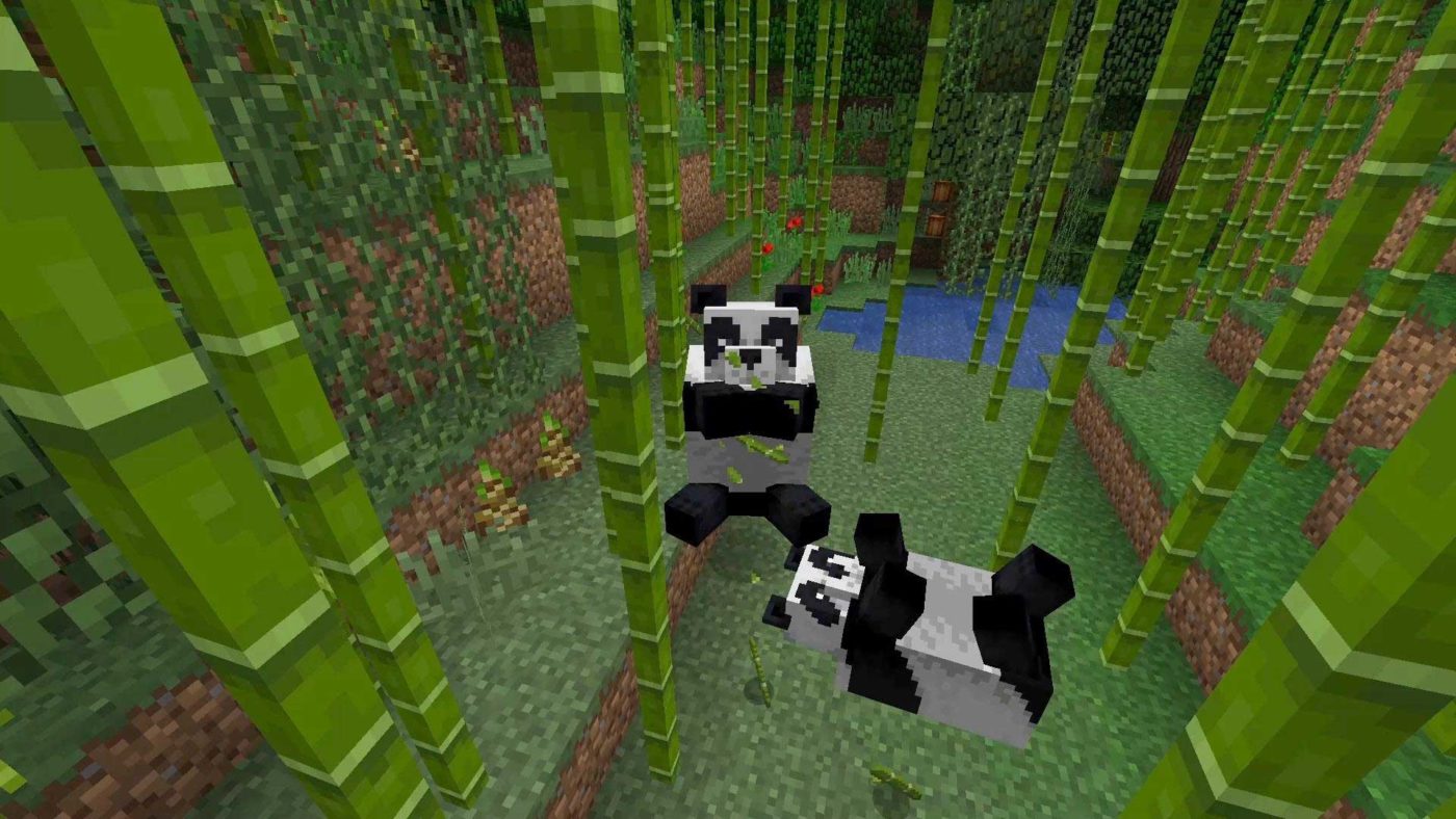 Minecraft Como Domesticar Pandas Y Criarlos The Arcader